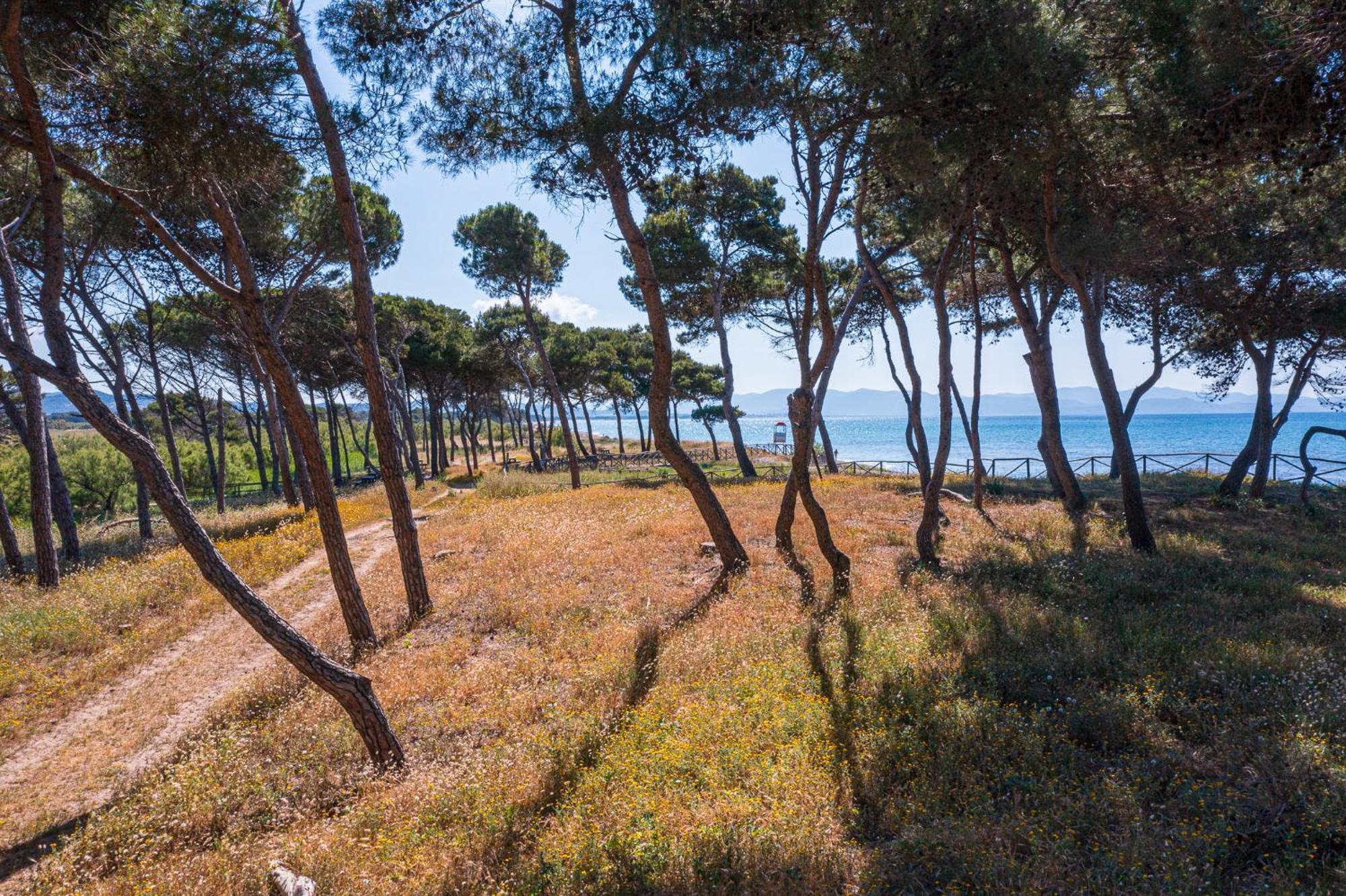 Villaggio Orizzonte Riotorto Exteriör bild